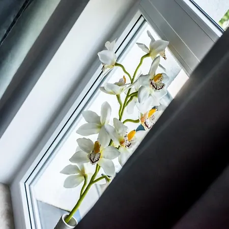 Apartment Mw Apartamenty - Nowe Apartamenty Przymorze *